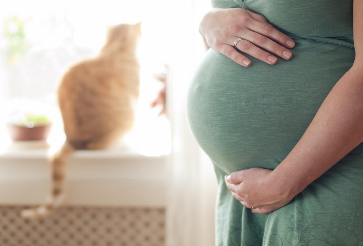 Toxoplasmosi in gravidanza: come proteggersi