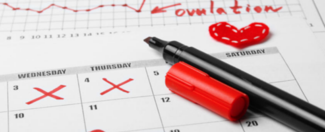 periodo ovulatorio|periodo ovulatorio